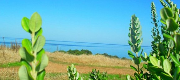 4 bedrooms Villa in Paphos, Cyprus No. 22305 13