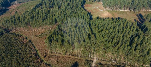  قطعة أرض في Fafe, Portugal 3670متر مربع رقم 28684 5