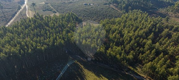  قطعة أرض في Fafe, Portugal 3670متر مربع رقم 28684 4