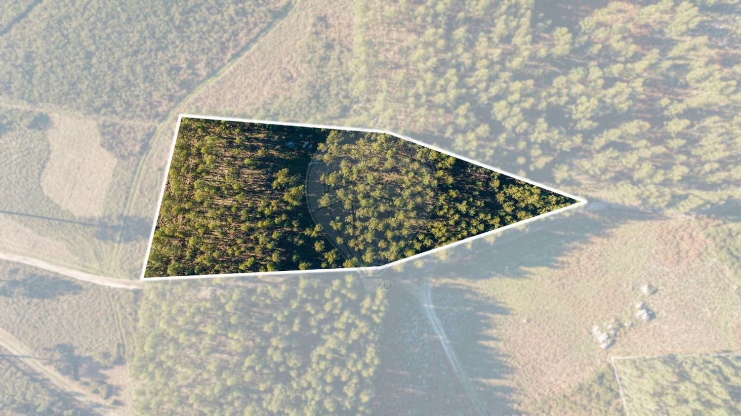  قطعة أرض في Fafe, Portugal 3670متر مربع رقم 28684