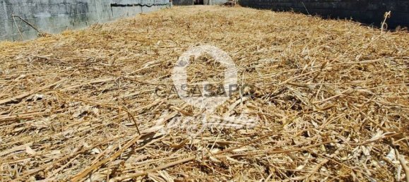 4 غرف نوم منزل في Povoa de Varzim, Portugal رقم 259016 12