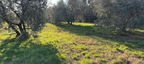 6غرفة منزل في Lamporecchio, Italy رقم 86844 16