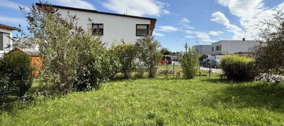 2 rooms Apartment in Fels am Wagram, Austria No. 234225 14