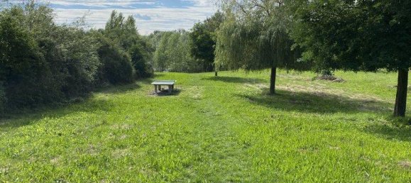 2 rooms Apartment in Fels am Wagram, Austria No. 234225 22