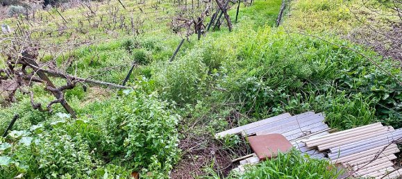 1 bedroom House in Peso da Regua, Portugal No. 17443 3