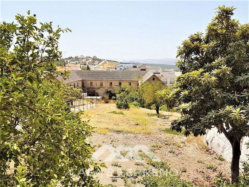  عقار تجاري في Rute, Spain رقم 229445