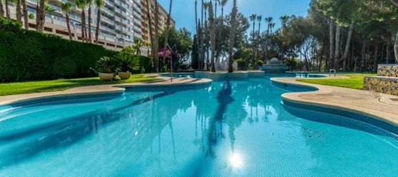 2 bedrooms Apartment in Dehesa De Campoamor, Spain No. 181774 22