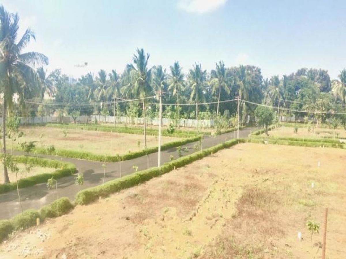  Land in Chennai, India No. 31454