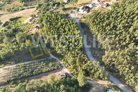 Terreno em Ericeira, Portugal 6598 m² N.º 260002