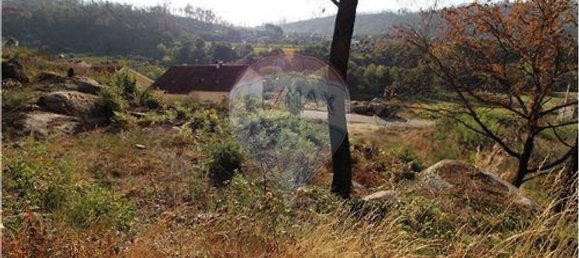 8 غرف نوم منزل في Lajeosa do Dao, Portugal رقم 166540 40