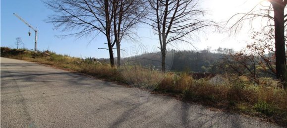 8 غرف نوم منزل في Lajeosa do Dao, Portugal رقم 166540 37