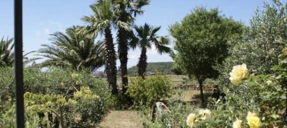 5-Zimmer Haus in Pantelleria, Italy, Nr. 161359 15