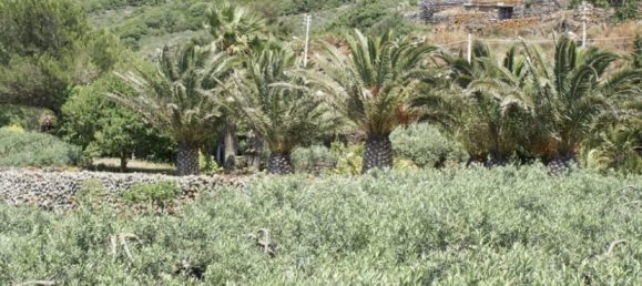 5-Zimmer Haus in Pantelleria, Italy, Nr. 161359 13