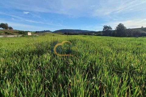  قطعة أرض في Sao Bartolomeu de Messines, Portugal 51596متر مربع رقم 150665