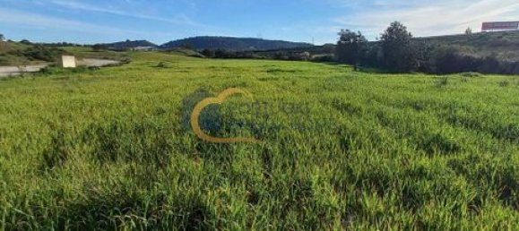  قطعة أرض في Sao Bartolomeu de Messines, Portugal 51596متر مربع رقم 150665 20