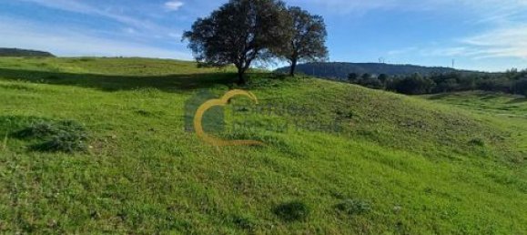  قطعة أرض في Sao Bartolomeu de Messines, Portugal 51596متر مربع رقم 150665 4