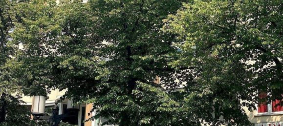 Studio in Westend, Germany, Nr. 294586 12