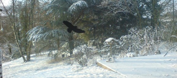 3 bedrooms Bungalow in Herford, Germany No. 219203 7