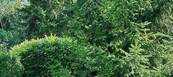 Terreno en Brunn am Gebirge, Austria 566 m² No. 134364 4