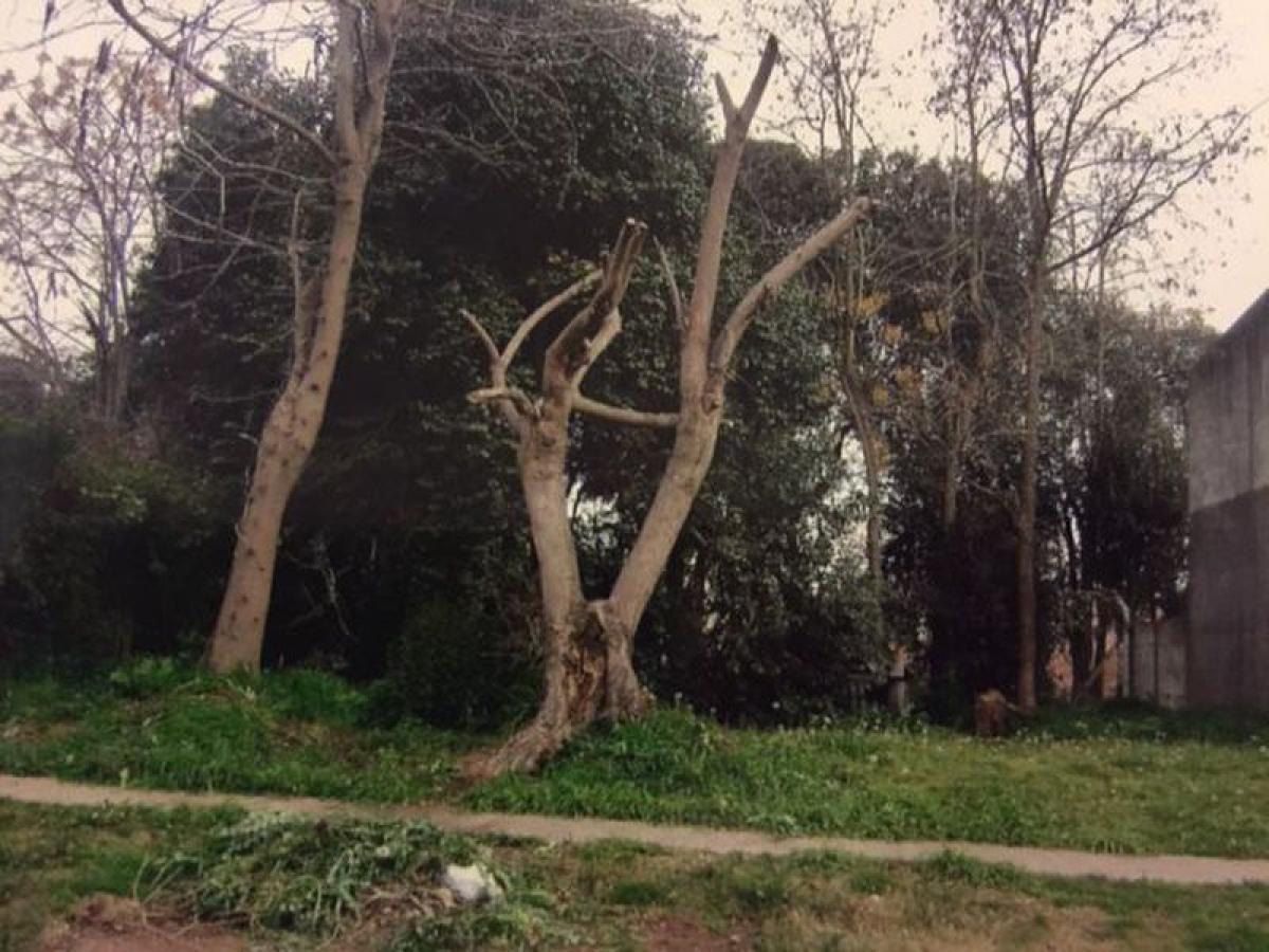  Land in Lobos, Argentina No. 36715