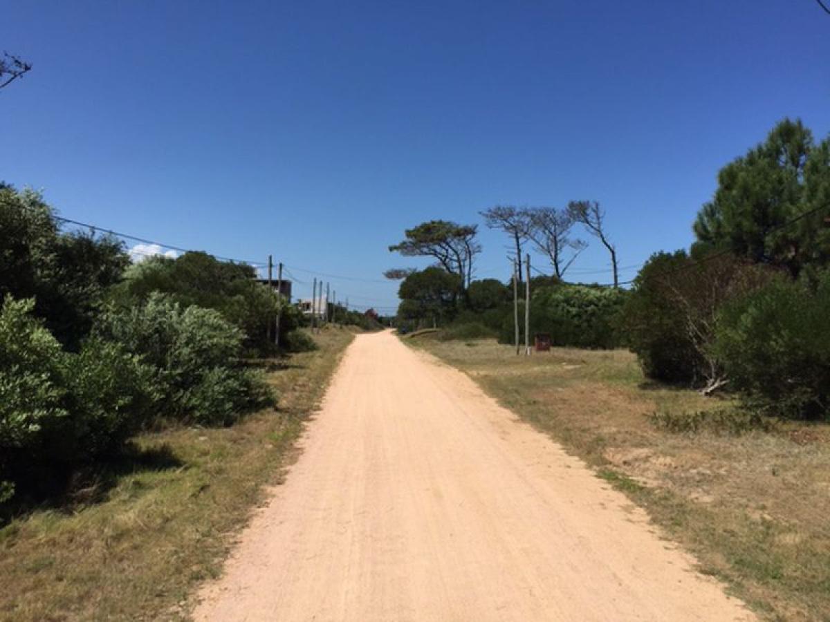 Grundstück in Maldonado, Uruguay, Nr. 15578