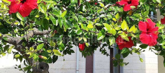 5-salle Penthouse à Mazara del Vallo, Italy No. 257007 4