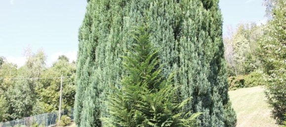 4غرفة منزل في Chiusa di San Michele, Italy رقم 277345 20