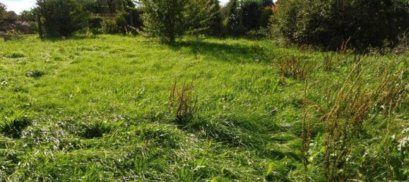 2 bedrooms House in Vorpommern-Rugen, Germany No. 148452 5