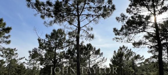  Land in Grandola, Portugal No. 73571 11