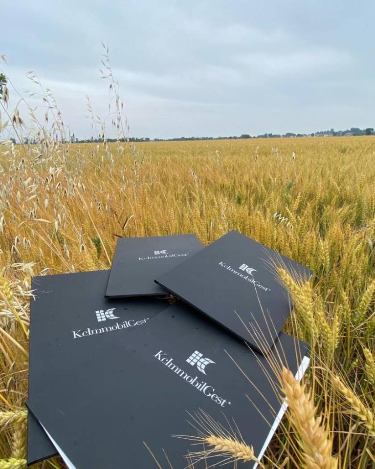 34000m² Land in Rivergaro, Italy No. 29846