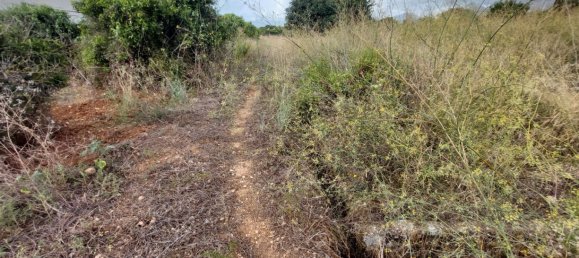 2051m² Land in Beniarbeig, Spain No. 274510 13