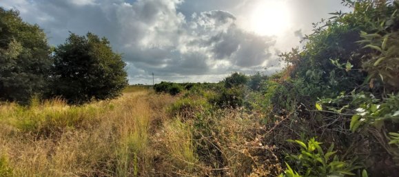 2051m² Land in Beniarbeig, Spain No. 274510 16