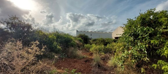 2051m² Land in Beniarbeig, Spain No. 274510 19