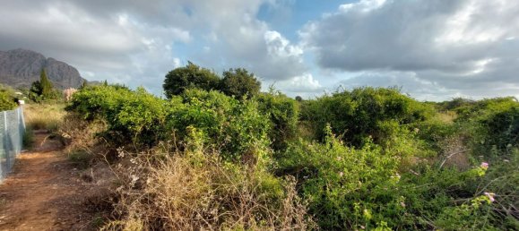 2051m² Land in Beniarbeig, Spain No. 274510 26