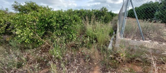 2051m² Land in Beniarbeig, Spain No. 274510 27