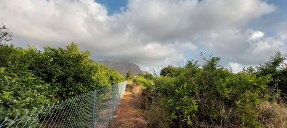 2051m² Land in Beniarbeig, Spain No. 274510 11