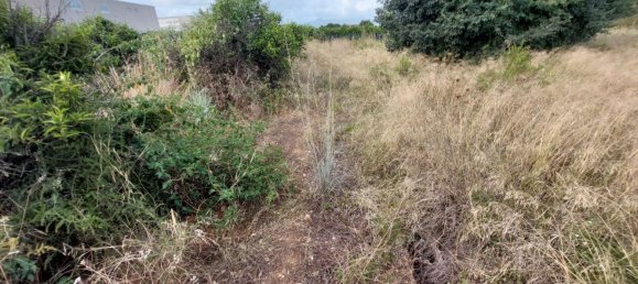 2051m² Land in Beniarbeig, Spain No. 274510 12