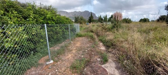 2051m² Land in Beniarbeig, Spain No. 274510 4