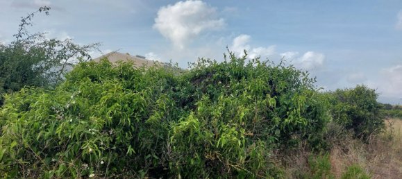 2051m² Land in Beniarbeig, Spain No. 274510 25