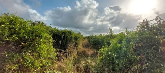 2051m² Land in Beniarbeig, Spain No. 274510 15