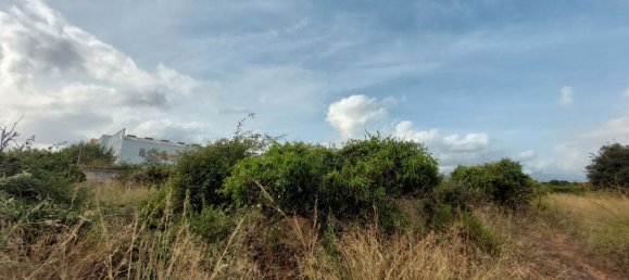 2051m² Land in Beniarbeig, Spain No. 274510 23