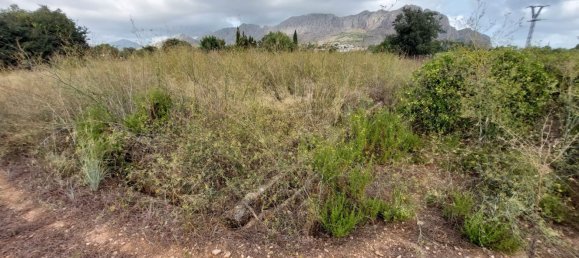 2051m² Land in Beniarbeig, Spain No. 274510 14