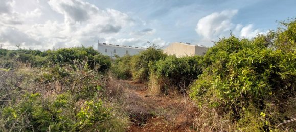 2051m² Land in Beniarbeig, Spain No. 274510 20