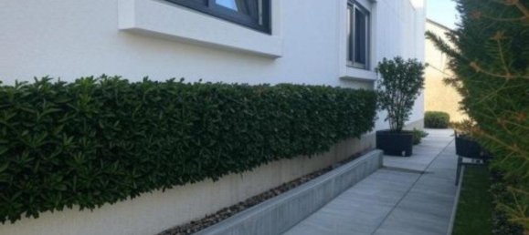 2 غرف نوم بنغالو في Anhalt-Bitterfeld, Germany رقم 313212 2