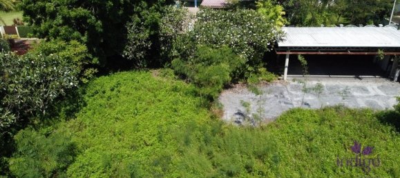  Land in Chiang Mai, Thailand No. 58388 5