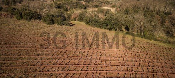  Land in Le Bosc, France No. 205410 6