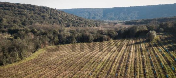  Land in Le Bosc, France No. 205410 5