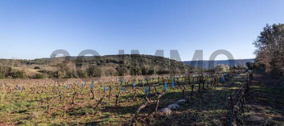  Land in Le Bosc, France No. 205410 8