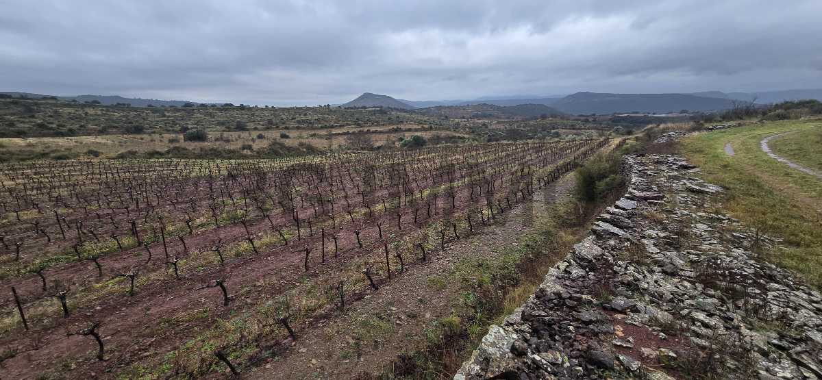  Land in Le Bosc, France No. 205410