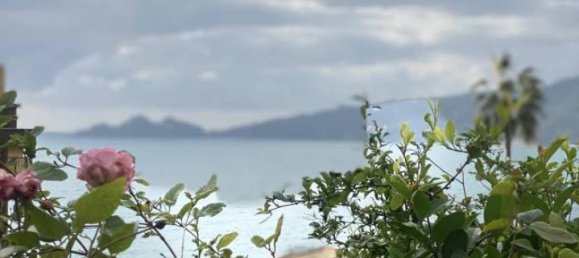 5 rooms Villa in Zoagli, Italy No. 23599 4